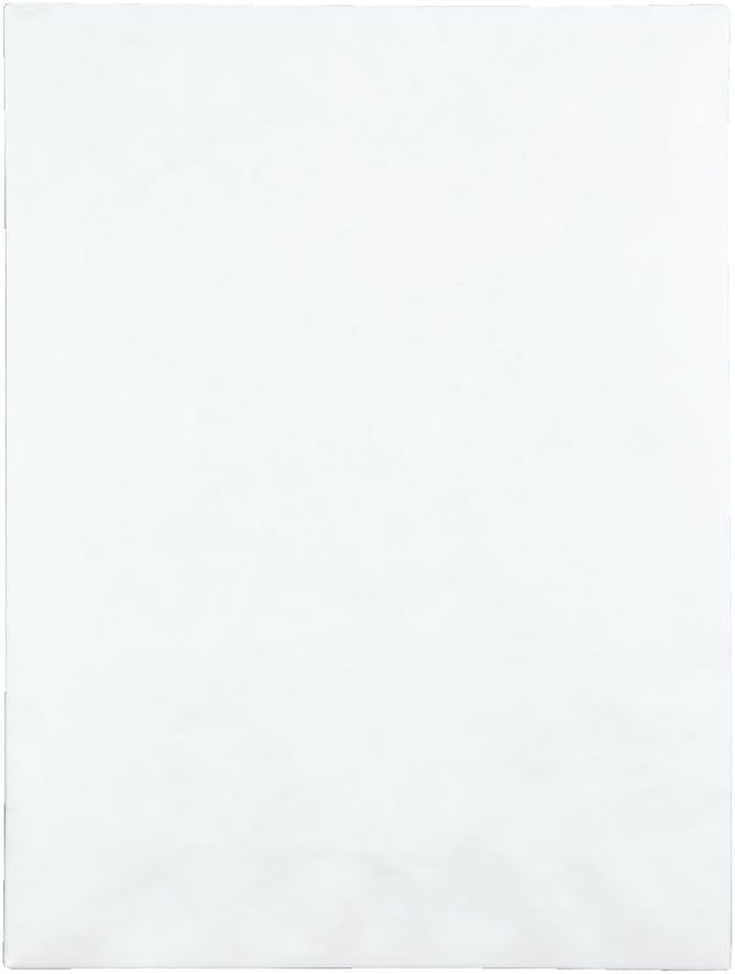 Quality Park Survivor 9 x 12 Catalog Envelopes made with DuPont Tyvek Materia...