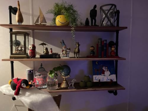 HDDFER Industrial Pipe Floating Shelves, 48 Inch Rustic Wood Wall Shelf