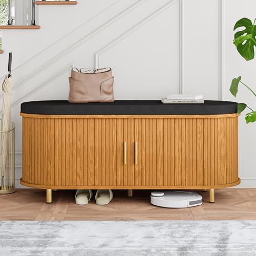 DHH 2-Tier Storage Bench,Wide Shoe Bench with Thickened Padded Seat Cushion, ...