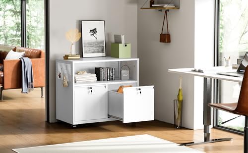 Metal File Cabinet,2 Drawer Lateral Filing Cabinet with Lock,Rolling Printer ...