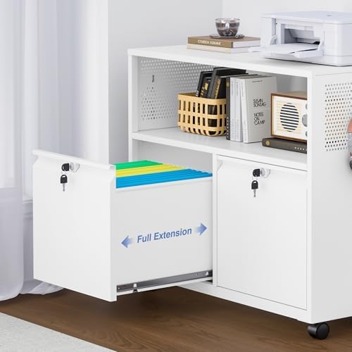 Metal File Cabinet,2 Drawer Lateral Filing Cabinet with Lock,Rolling Printer ...