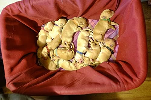 Fleece Laundry Basket Liner and Lid Set for Puppy Whelping, Small Animal Tran...