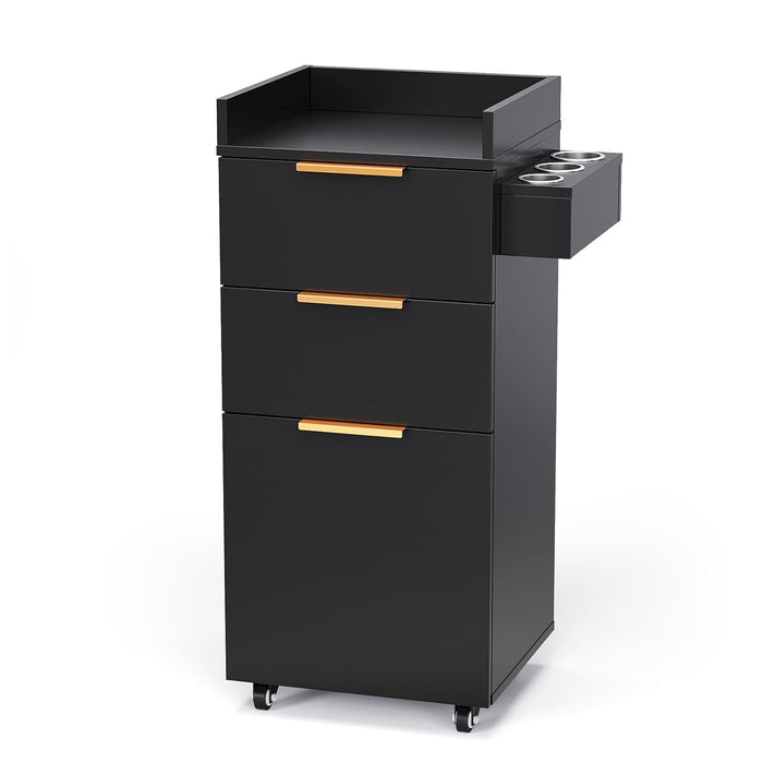 OmySalon Salon Cart with Wheels, 3-Tier Rolling Hair Styling Station, 2 Drawers & Adjustable Shelf, Hair Dryer Holder, Mobile Organizer for Salon, Barber, Spa, Nail & Beauty Tools, Black