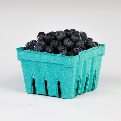 Pactiv 1 Quart Sized Garden Party Berigard Berry Basket Molded Fiber Green | 297/Case