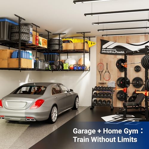 FLEXIMOUNTS 4x8 2-Tier Overhead Ceiling Garage Storage Rack, Black