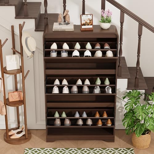 Garvee Hidden Shoe Cabinet, Brown