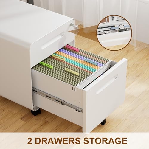2 Drawer Mobile Low Profile File Cabinet with Lock and 4 Keys