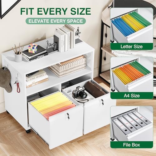 Metal File Cabinet,2 Drawer Lateral Filing Cabinet with Lock,Rolling Printer ...