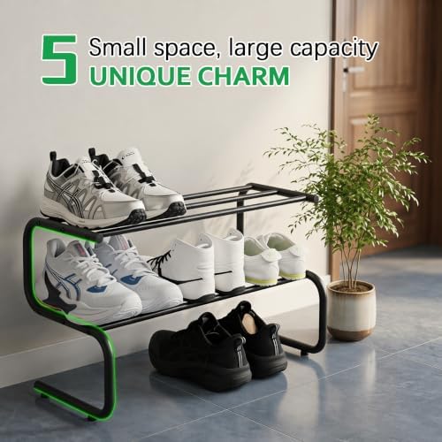Small Metal Shoe Rack, 2 Tier 5-Shaped Shoe Storage Organizer