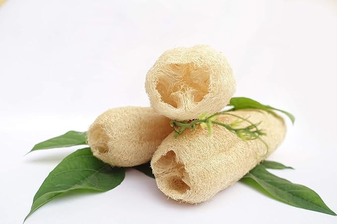 Natural Whole Loofah Dish Sponge - Image 4
