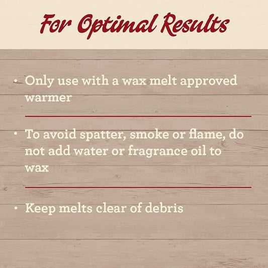 Our Own Candle Company Premium Wax Melt, The Beach, Coconut Lime, Himalayan Sea - Image 2