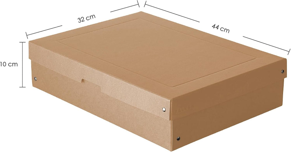 FALKEN Original PureBox Nature. Made in Germany, 100 mm high, DIN A3. Storage...