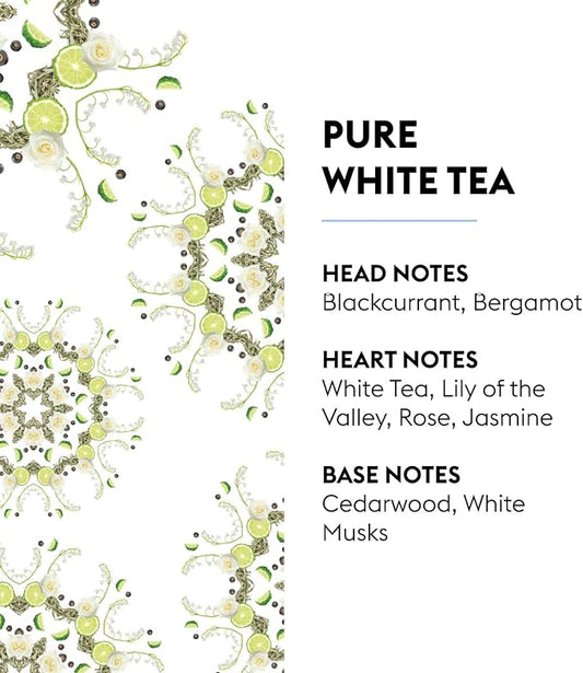 MAISON BERGER - Pure White Tea - Lampe Berger Fragrance Refill - Image 2