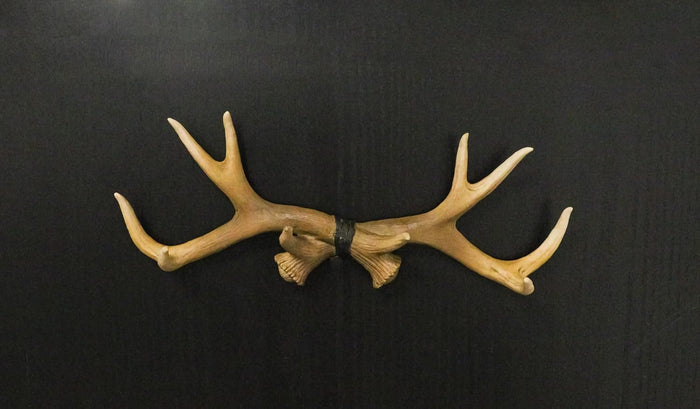 Ebros Gift Rustic Hunter's 10 Point Stag Deer Antlers Rack Wall Plaque 17" Wide Coat Hooks Multi-Purpose Hats Keys Scarves Belts Pet Leashes Hangers Antler Wall Hook