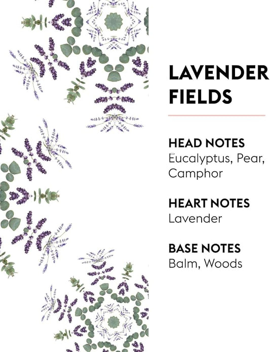 MAISON BERGER - Lavender Fields - Lampe Berger Fragrance Refill - Image 2