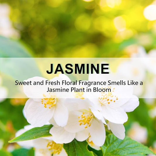 ROSE COTTAGE Large 12 Packs Jasmine Hanging Closet Deodorizer Air Freshener - Image 2