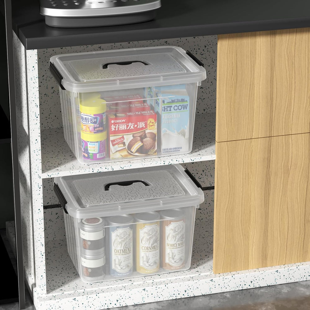 Kiddream 20 L Clear Storage Bin with Handle, Lidded Storage Boxes Set of 4