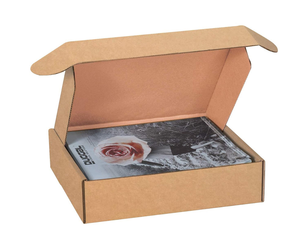 BOX USA Moving Boxes Large 18"L x 14"W x 4"H 25-Pack, Cardboar...