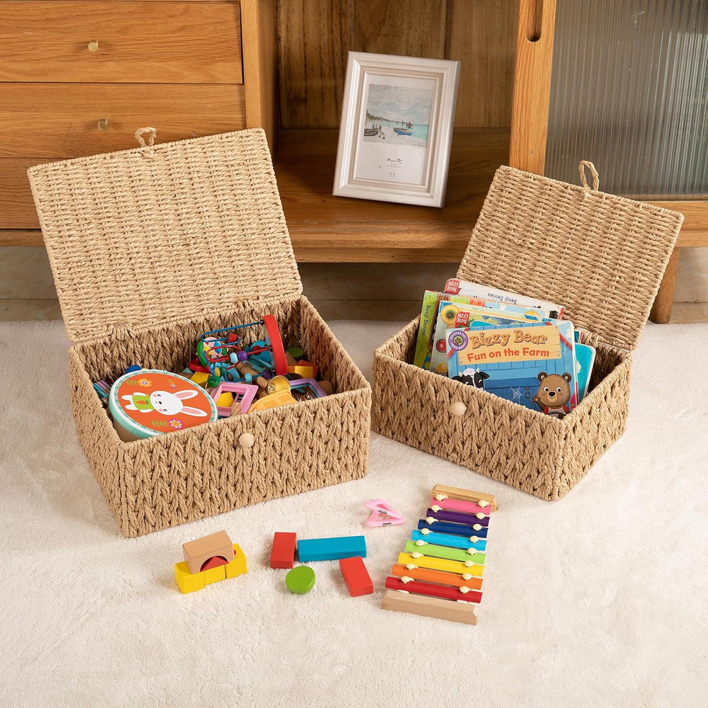OIAHOMY Wicker Storage Basket with Lid & Lock, Lidded Storage Bins, Decor...