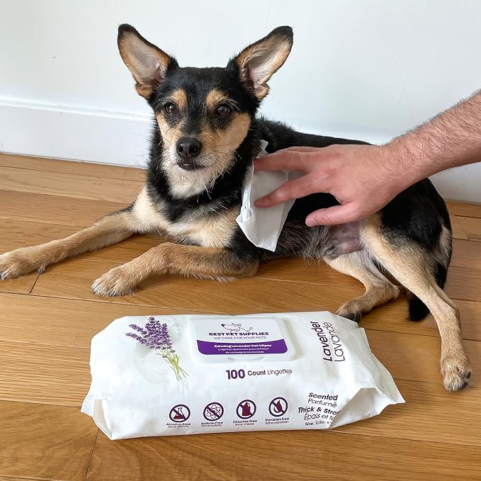 Best Pet Supplies Pet Wipes for Dogs - Image 6