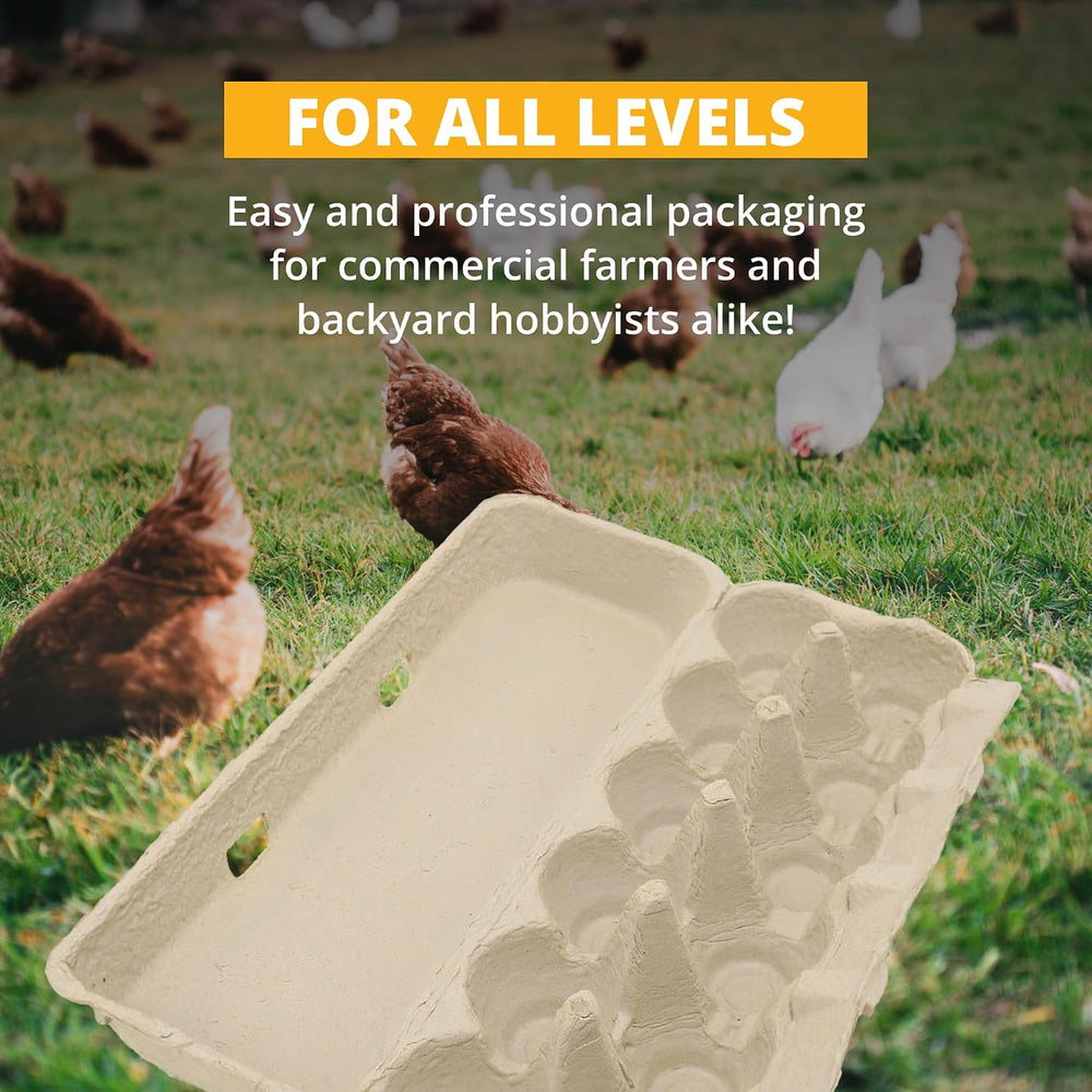 Stromberg's Large Blank Flat Top Chicken Egg Cartons, 100 Pack