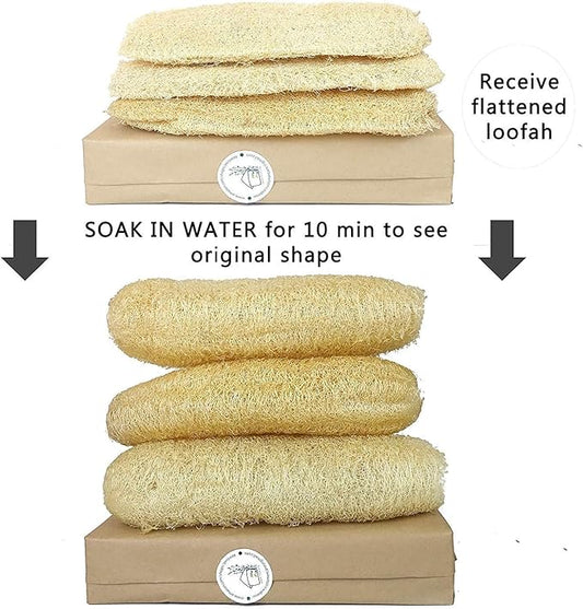 Natural Whole Loofah Dish Sponge - Image 2