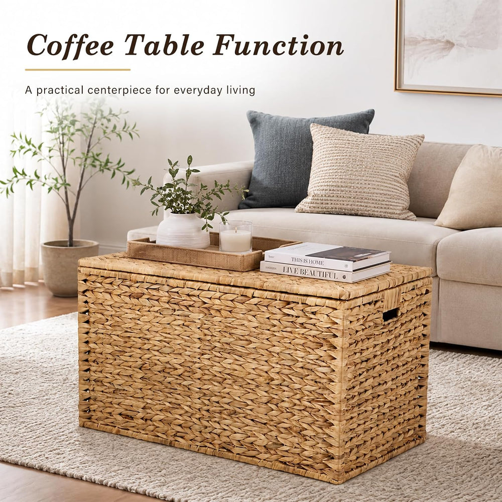Storage Basket with Lid, Woven Wicker Shelf Basket with Removable Liner, Meta...