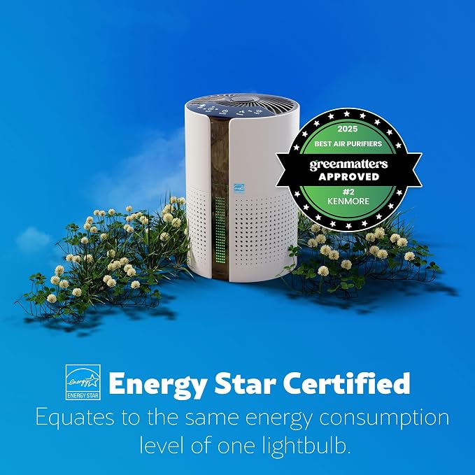 Kenmore PM1010 Air Purifiers for Bedroom Up to 348 Sq.Foot - Image 8