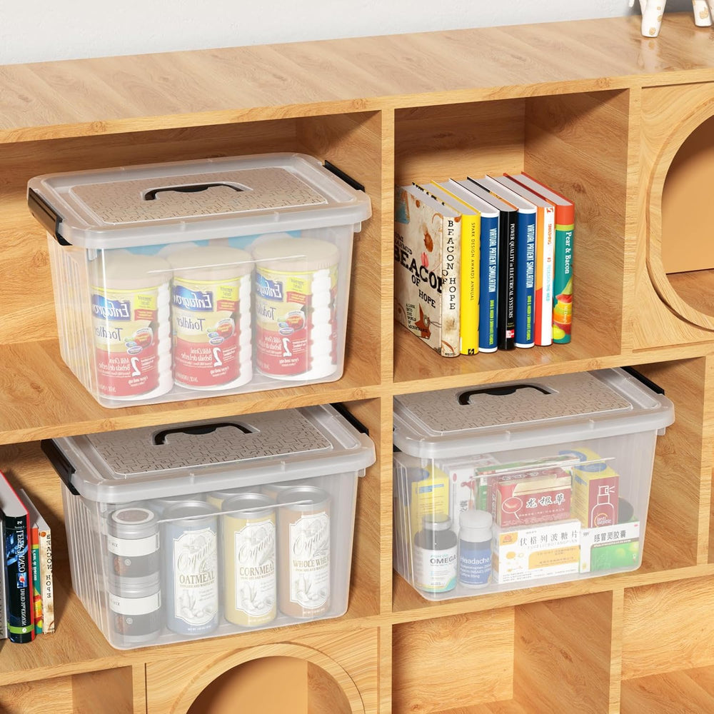 Kiddream 20 L Clear Storage Bin with Handle, Lidded Storage Boxes Set of 4