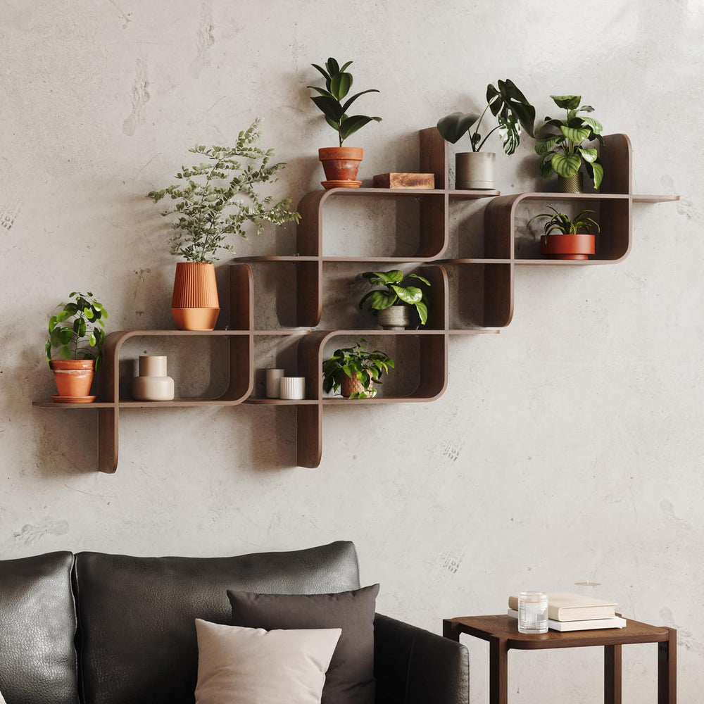 Umbra Montage Floating Wall Shelf, Wood Wall Mount Display Case, Walnut