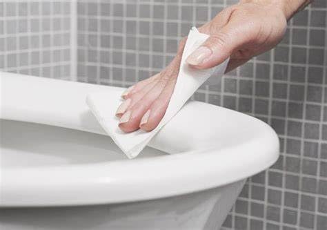 Flex Wipes Disinfectant Wipe 20075, Includes Six 75-count Canisters - Image 6