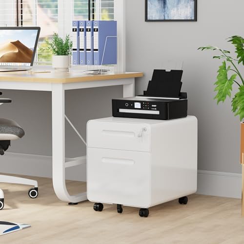 2 Drawer Mobile Low Profile File Cabinet with Lock and 4 Keys