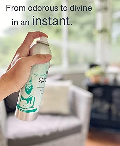 AP Fragrance Belfair Oaks Room Fragrance Air Freshener Spray Christmas Tree - Image 4