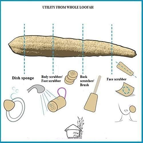 Natural Whole Loofah Dish Sponge - Image 3