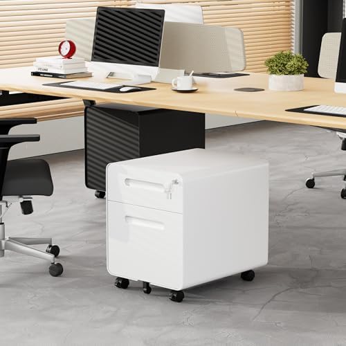 2 Drawer Mobile Low Profile File Cabinet with Lock and 4 Keys