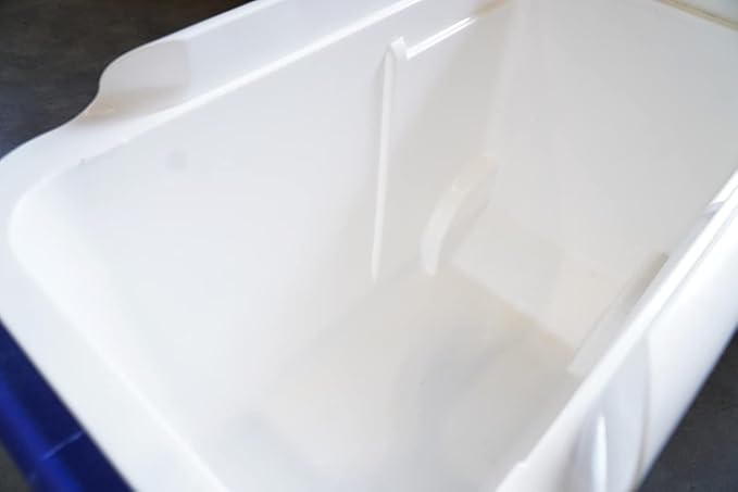 Marine 31 Mildew Stain Remover & Cleaner - Image 6