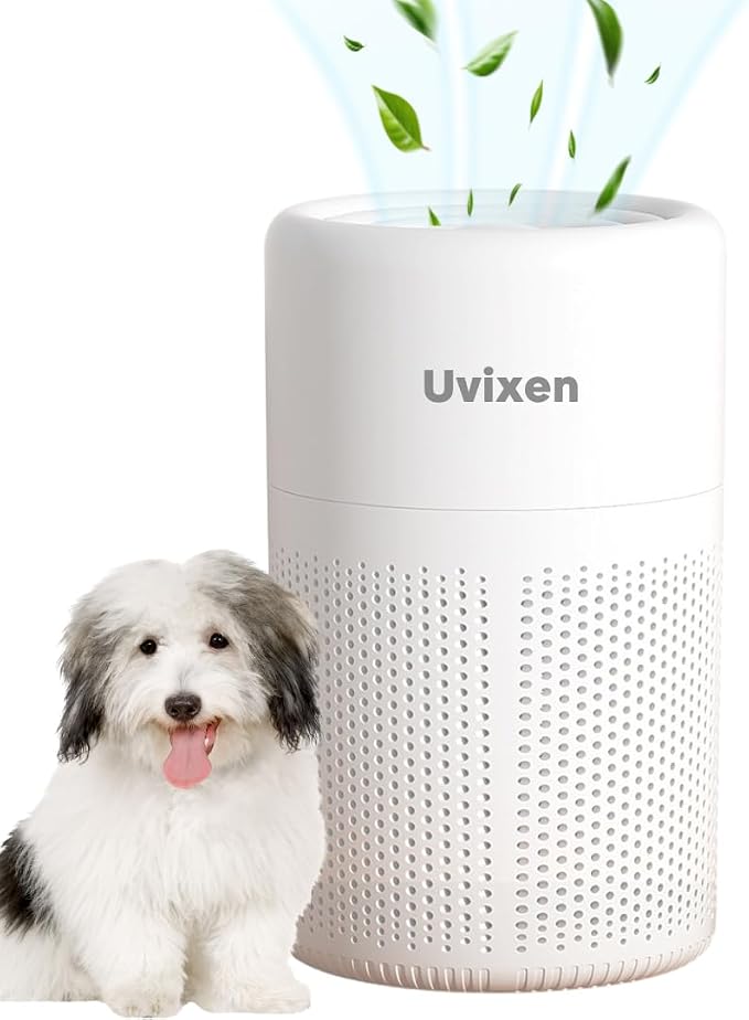 Air Purifiers for Home by Unknown