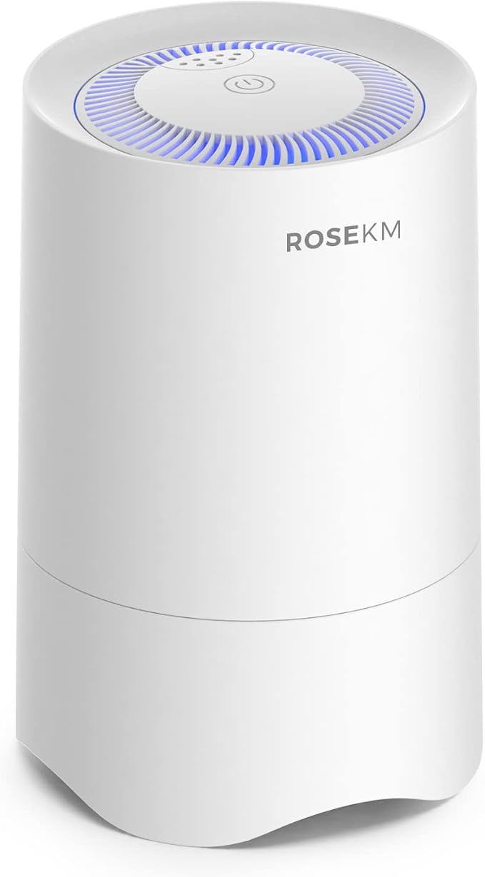 Small Air Purifier for Home Bedroom, Personal Desk Mini Air Purifier, Room Hepa by ROSEKM