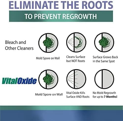 Vital Oxide Disinfectant, Deodorizer, Food-Contact Sanitizer, Virucide – – - Image 2