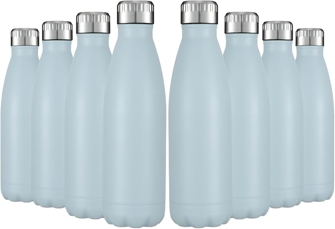 HASLE OUTFITTERS 17oz Stainless Steel Water Bottles Bulk, Vacuum Insulated by HASLEOUTFITTERS