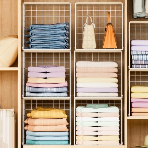 Hencawima 6 Pack Stackable Closet Organizer, Closet Organizers and Storage Sh...