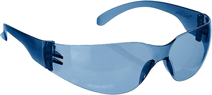 BISON LIFE Safety Glasses by BisonLife