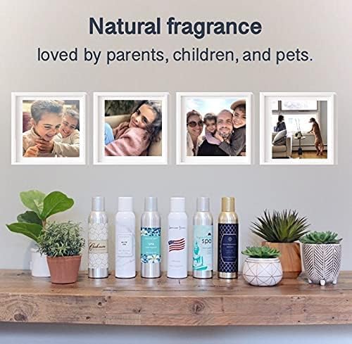 AP Fragrance Belfair Oaks Room Fragrance Air Freshener Spray - Image 5
