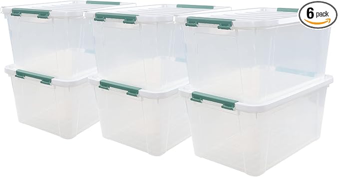 6-Pack 20 L Plastic Storage Box by Qskely
