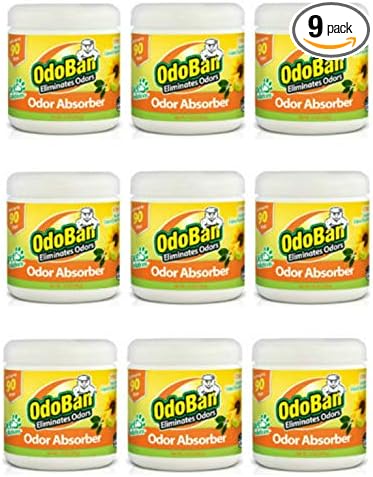 OdoBan Solid Odor Absorber Eliminator by OdoBan