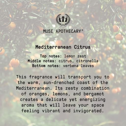 Muse Apothecary Home Ritual Active Odor Eliminator Spray - Image 8