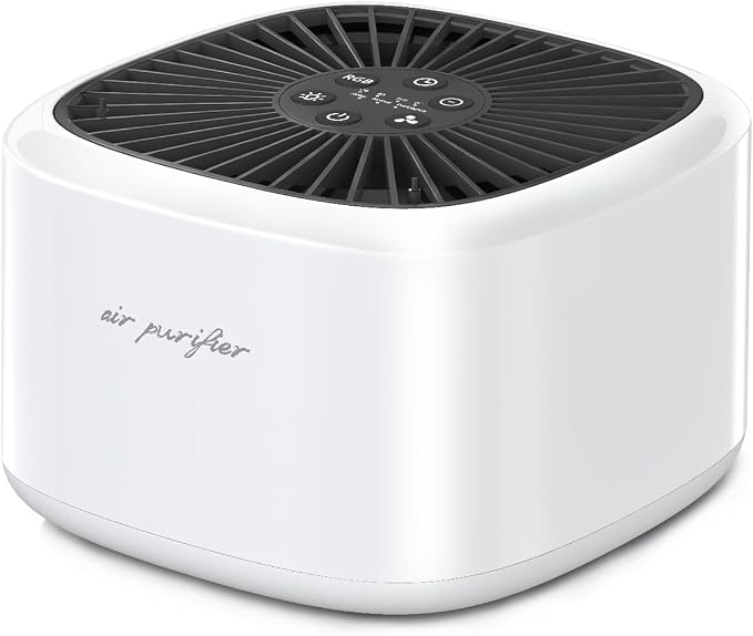 BeOkay Air Purifier Negative Oxygen Ion by Unknown