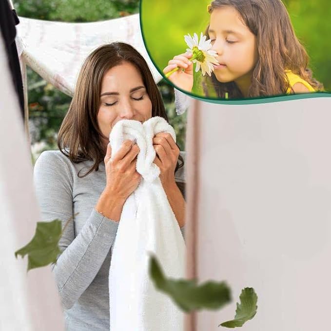 Laundry Prewash Spray Aerosol 12.3 Oz, Plus 4-in-1 Fabric Softener Dryer Sheets - Image 9