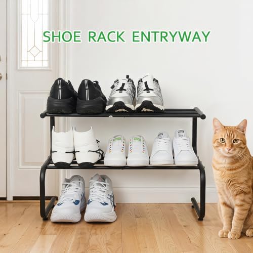 Small Metal Shoe Rack, 2 Tier 5-Shaped Shoe Storage Organizer
