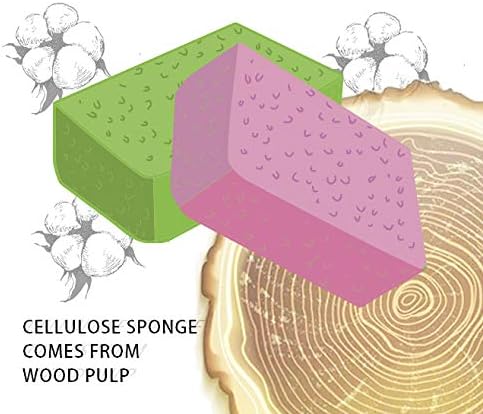 Large Natural Cellulose Cleaning Sponges – Biodegradable, Car & Home - Image 9